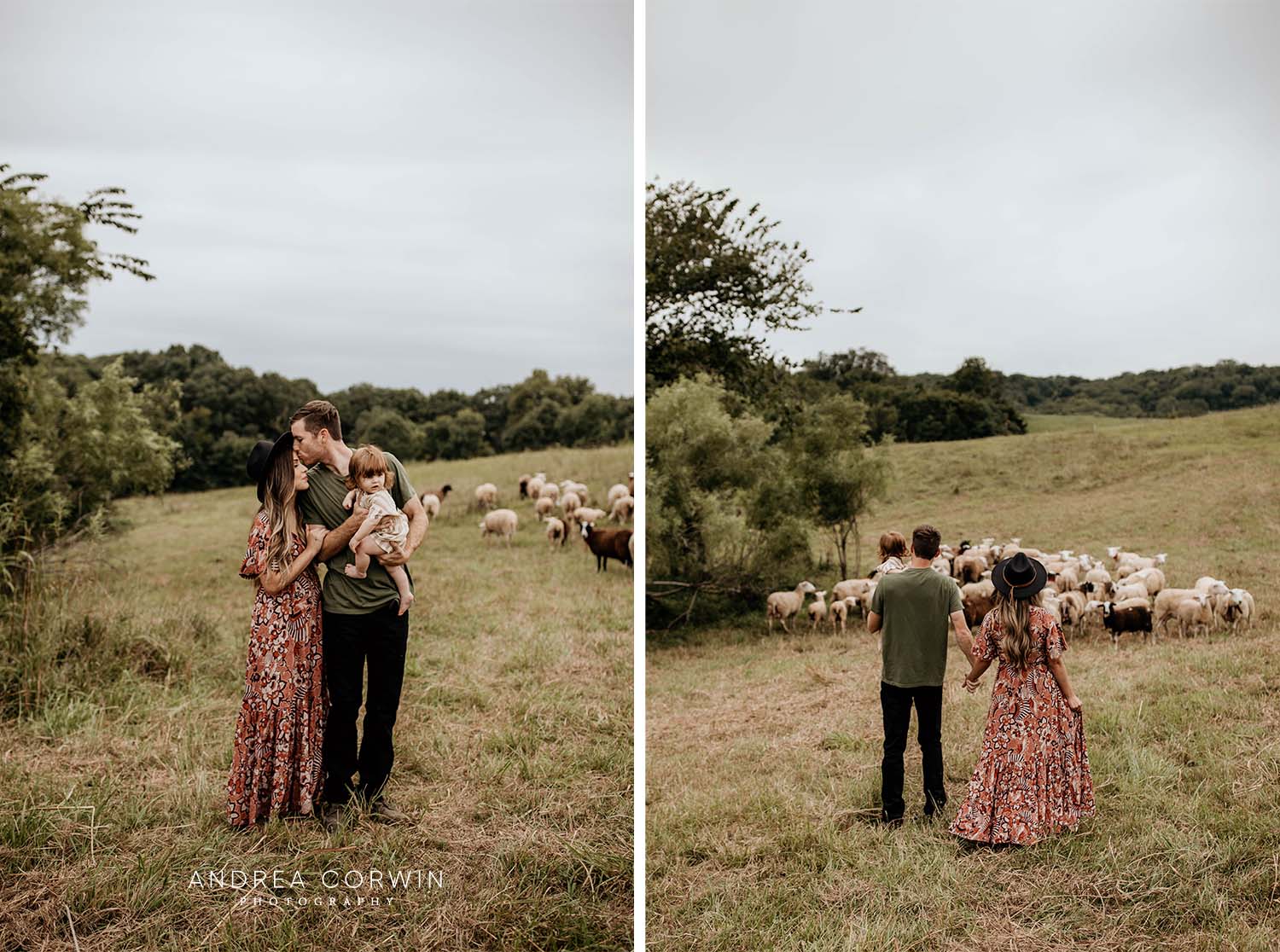 Andrea Corwin Photography Family Photographer Wichita Photographer Kansas - Sheep Farm 1