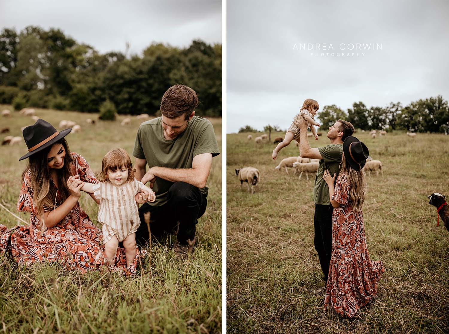 Andrea Corwin Photography Family Photographer Wichita Photographer Kansas - Sheep Farm 3